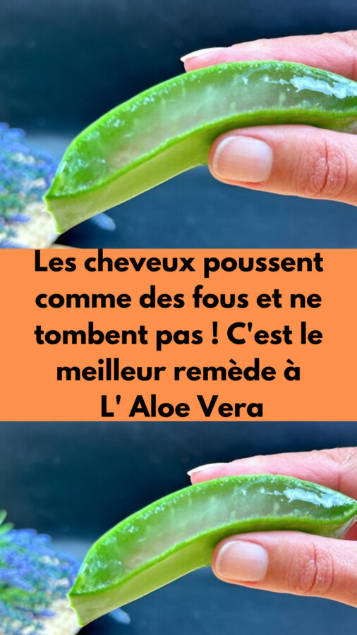 Remède bio pour cheveux